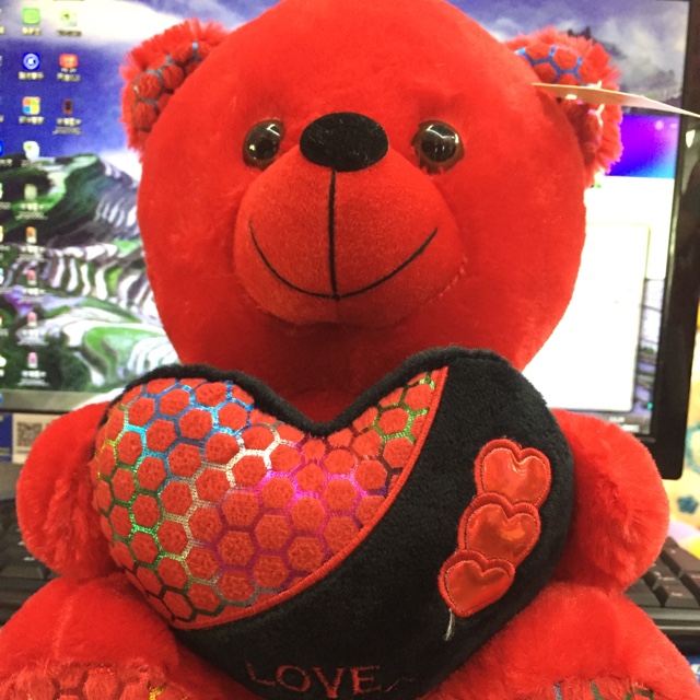 Valentine's Day gift 25cm. This style needs to be customized for 7 to 15 days