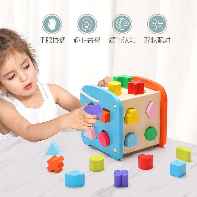 多功能/形状认知白底实物图