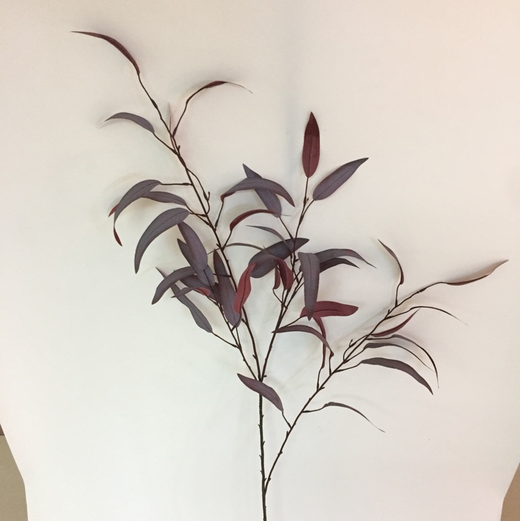 单枝4叉桉树叶仿真假花假植舞台绿植工程花草细节图