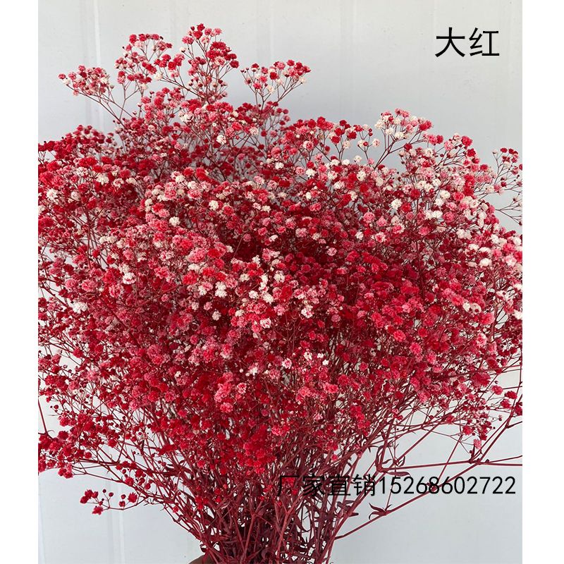 满天星/鲜花干花/永生花束细节图