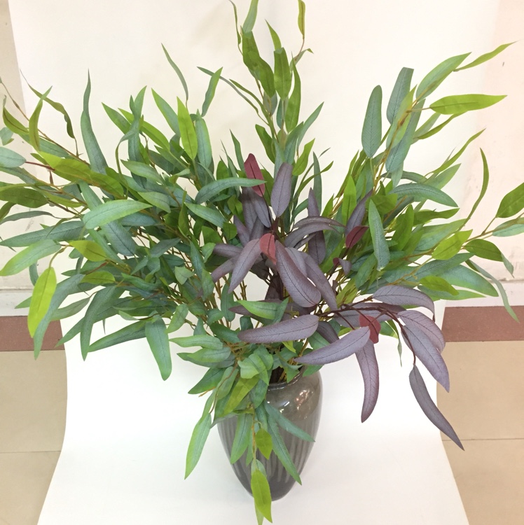 单枝4叉桉树叶仿真假花假植舞台绿植工程花草