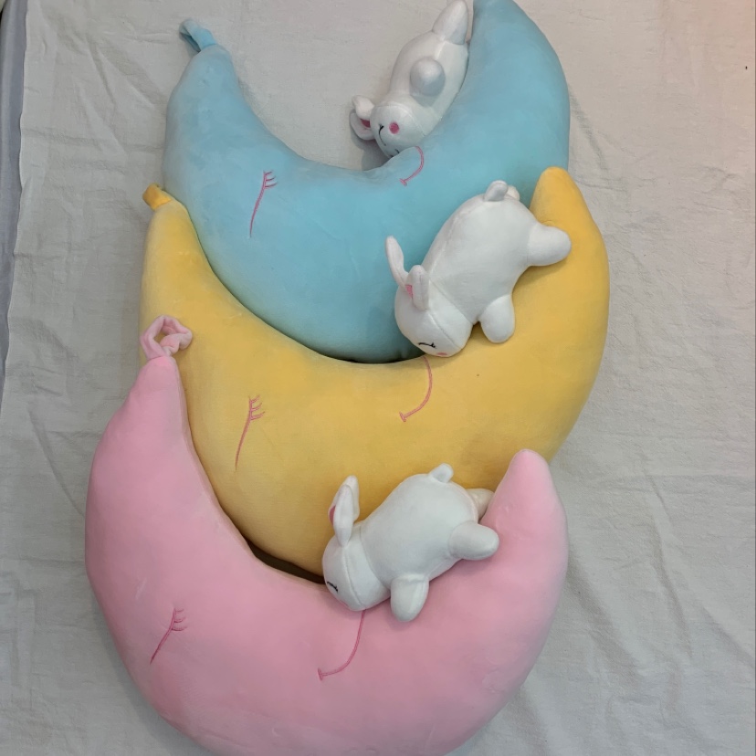 The rabbit climbs the moon thumbnail