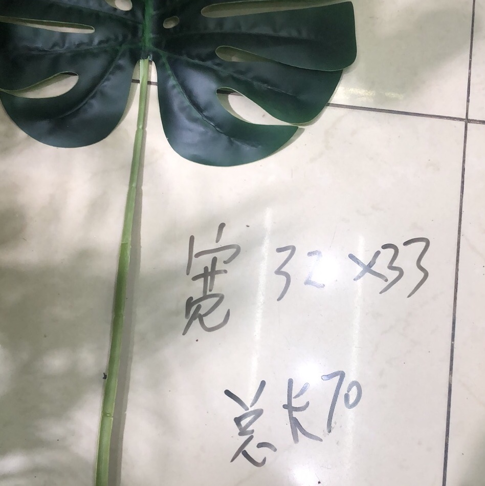 龟贝叶