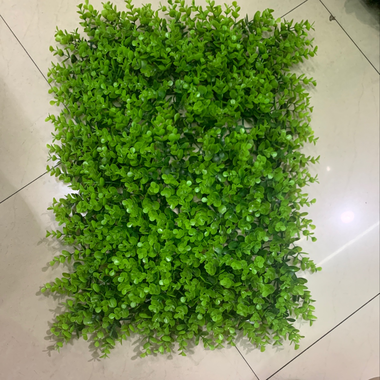 塑料草坪仿真尤加利大长草高草米兰豆瓣草坪（40✖️60大尤加利）