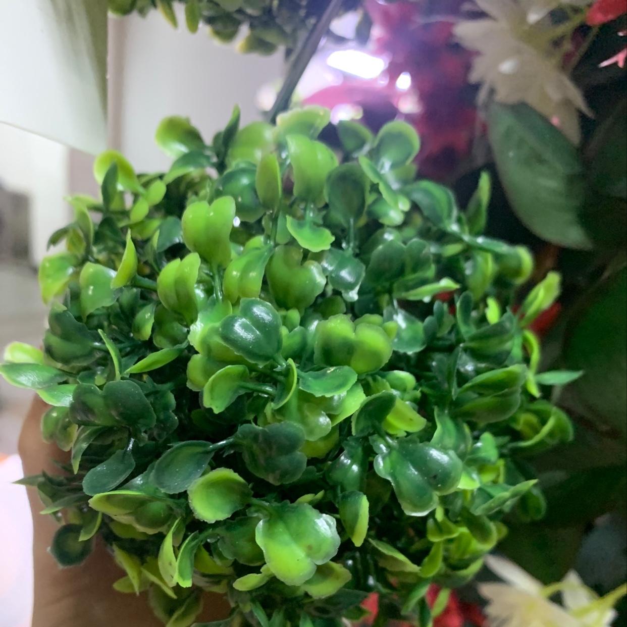 仿真草球植物室内创意假绿植球婚庆商场装饰吊顶塑料米兰球 （13cm立体米兰球）