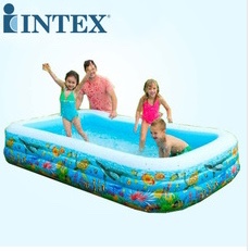 58485 Tropical Fish Family Swimming Pool