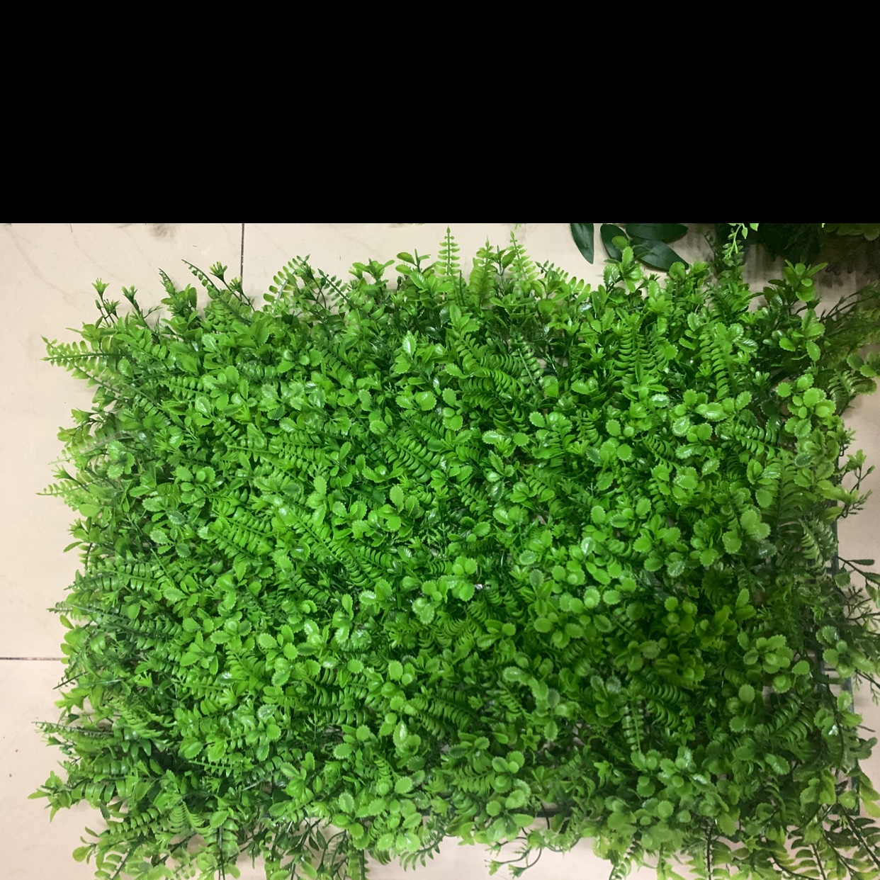 草坪迎宾墙叶凤尾草什锦仿真混合红心叶波斯（40✖️60波斯什锦）产品图