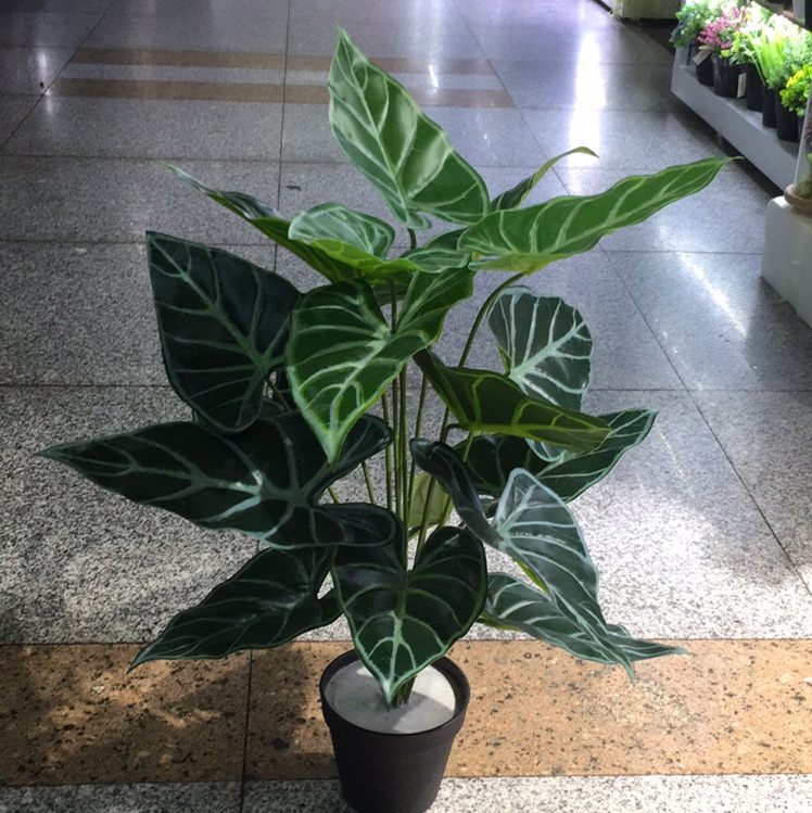 Artificial bonsai of artificial plant tree decorates Nordic style black taro thumbnail