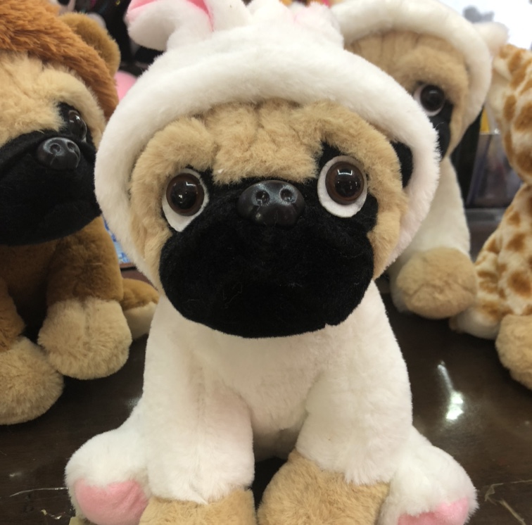 21 cm into rabbit 🐰... dog