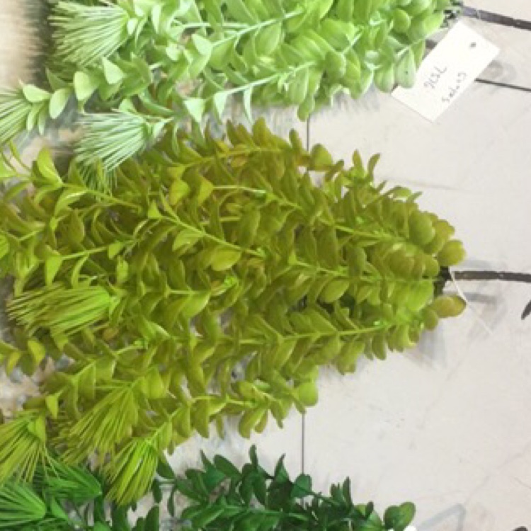 Manufacturers direct simulation flower simulation grass simulation hanging grass home decoration wedding decoration thumbnail