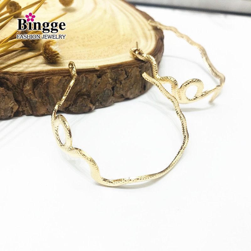 Earrings Classic European and American geometric snakelike animal earrings simple ring earrings metal accessories thumbnail