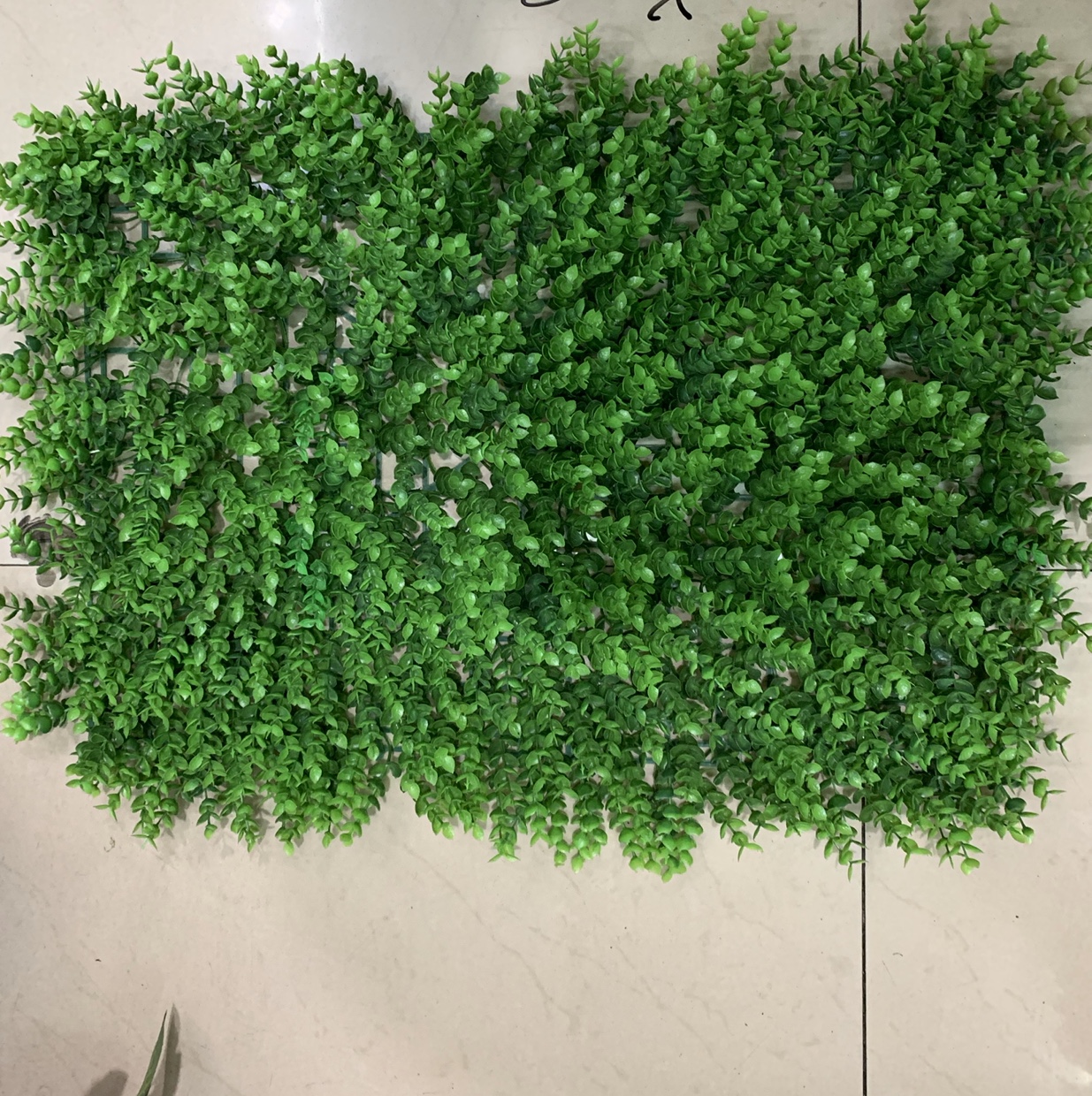 仿真植物背景花墙尤加利米兰草坪室内绿植墙面装饰塑料（40✖️60尤加利）