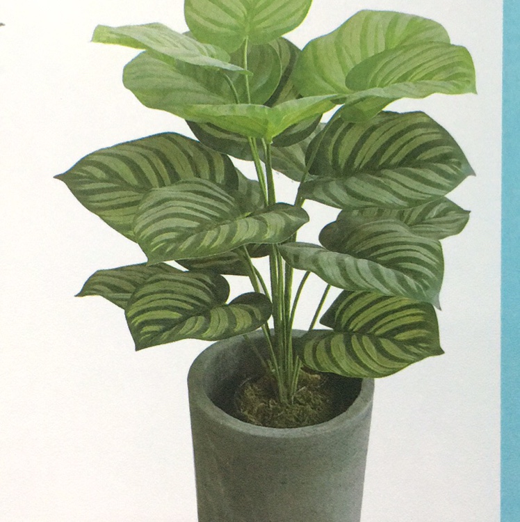 Simulated plant tree artificial bonsai decorated northern European style green apple thumbnail
