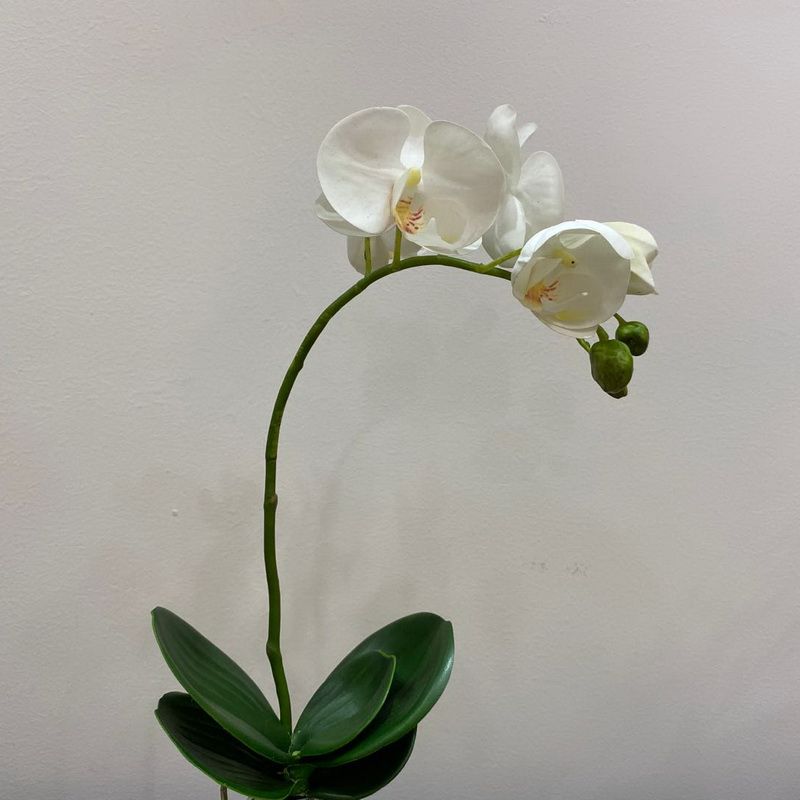 Yiwu Selection feel butterfly orchid factory direct selling imitation orchids Chinese home decoration artificial flowers