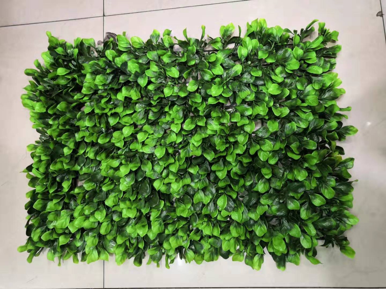 植物墙仿真草坪墙面绿植墙仿真植物墙背景墙门头墙面装饰小白菜款（40✖️60小白菜）