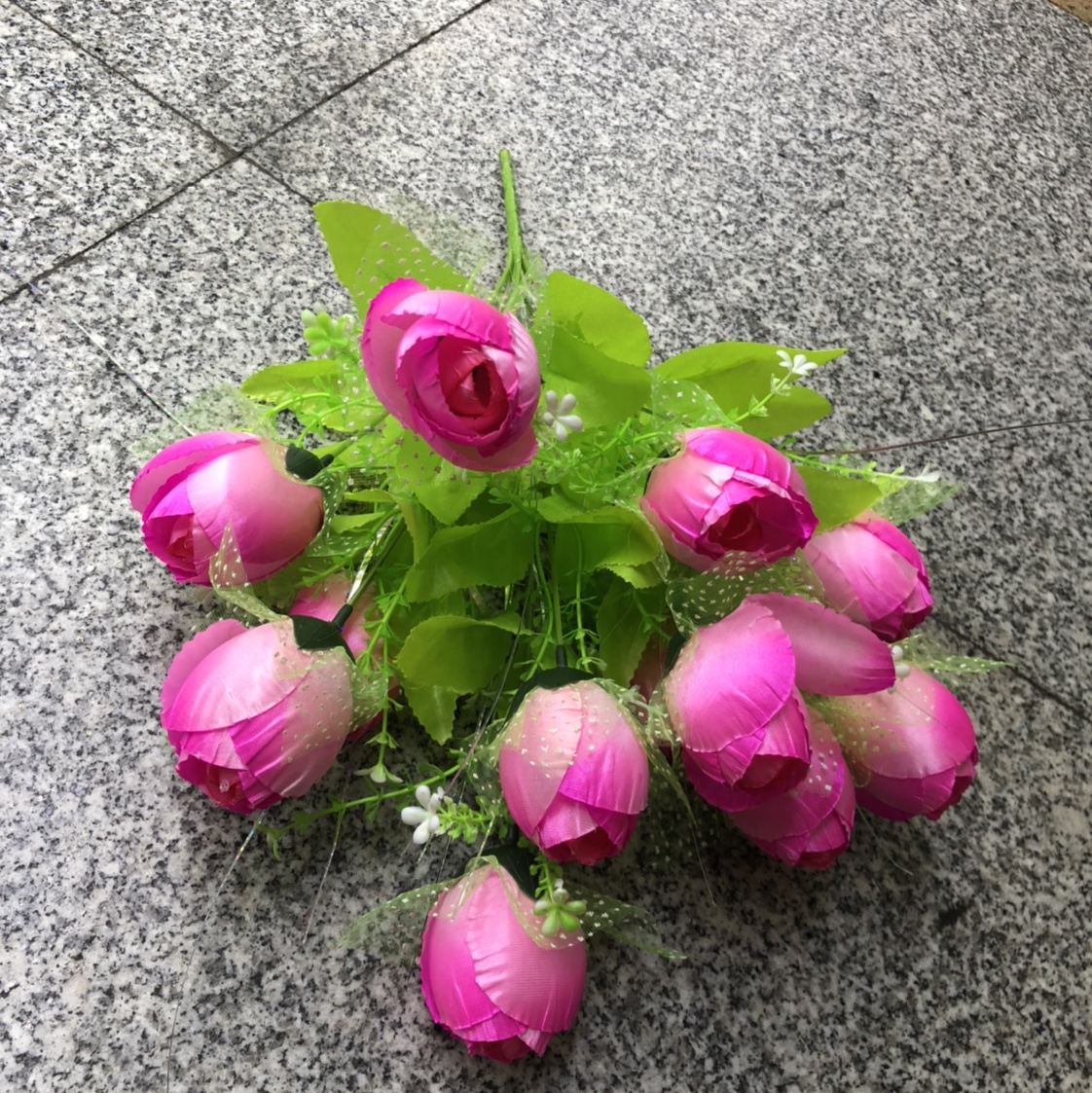 小蕾