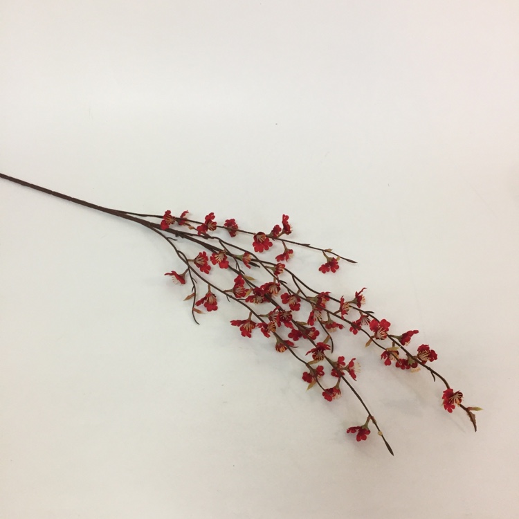 单枝春色非洲跳舞兰仿真花单枝花绢花假花摆放花艺详情图6