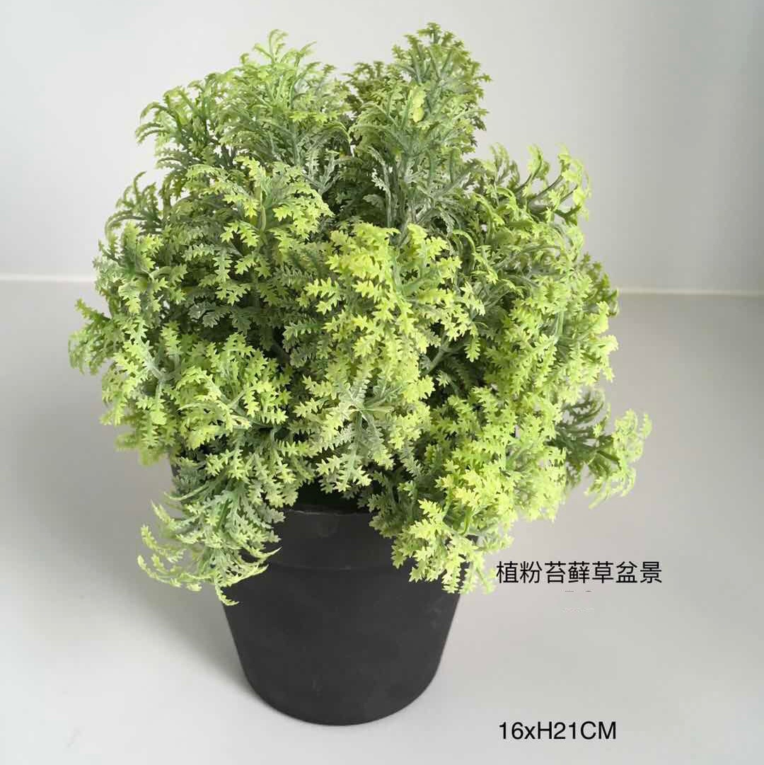 植粉苔藓草盆栽仿真植物网红ins花DIY材料客厅花瓶插花摆设装饰品真花干花办公场所摆饰