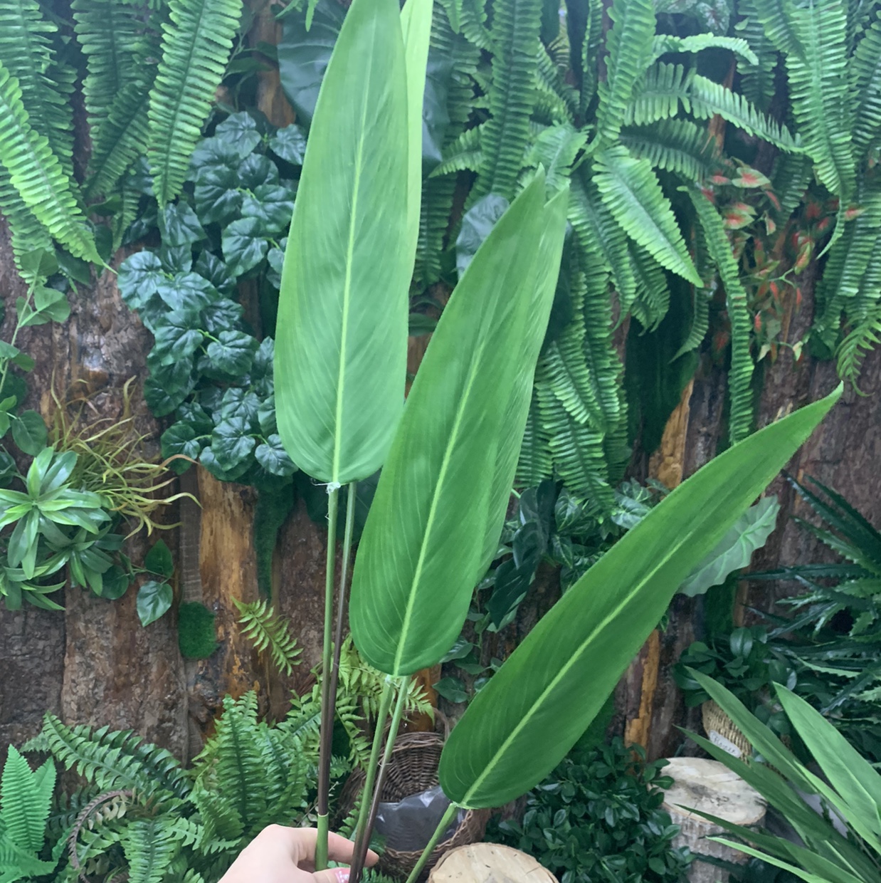 Canna Norse plant Fake traveller's banana simulation potted green plant indoor tree decorations INS flower potted (Canna) thumbnail