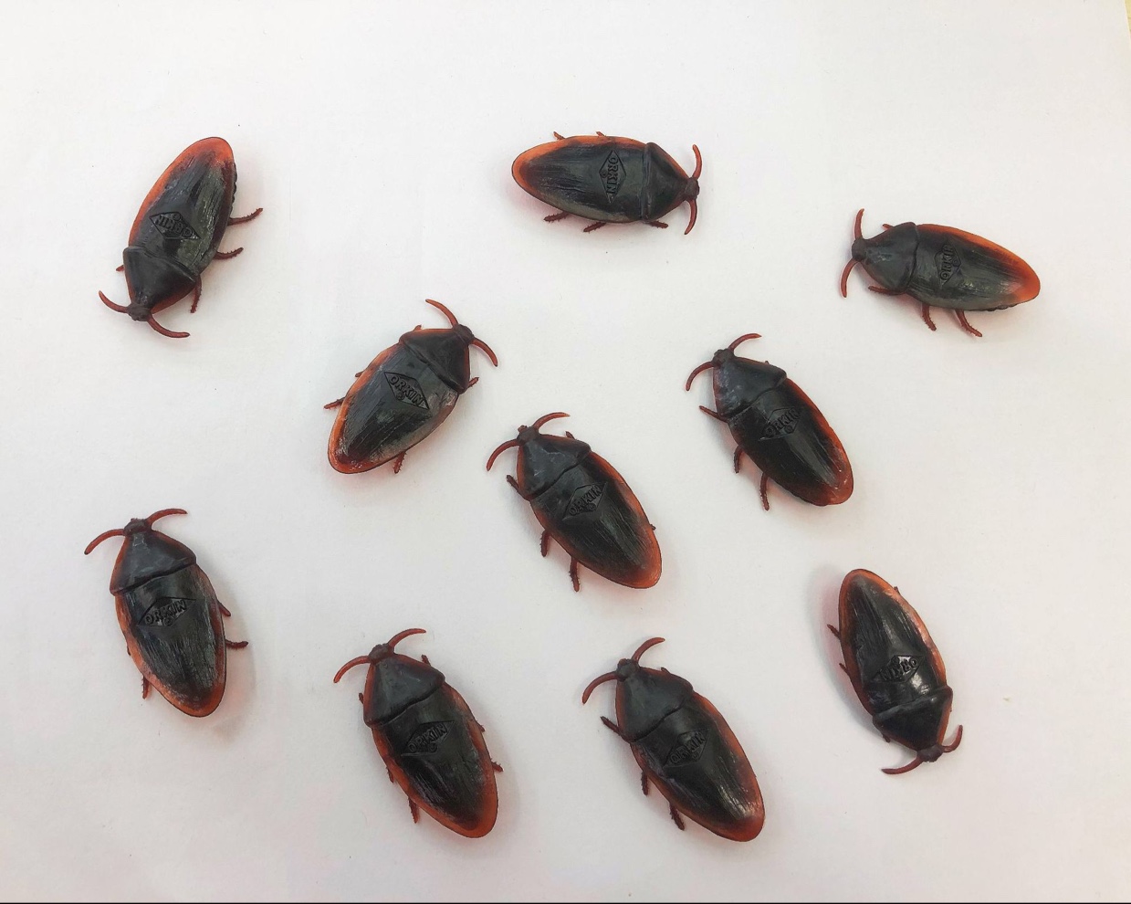Cockroach doll Cockroach toy Cockroach centipede Scorpion early education April Fool's Day prankster toy fake insects thumbnail