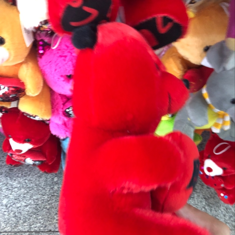 21cm heart-hugging bear custom 7-15 days, factory direct sales Application Scenario