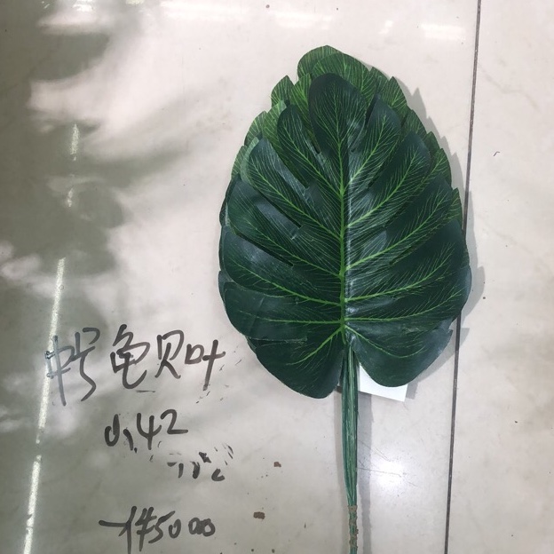 中号龟