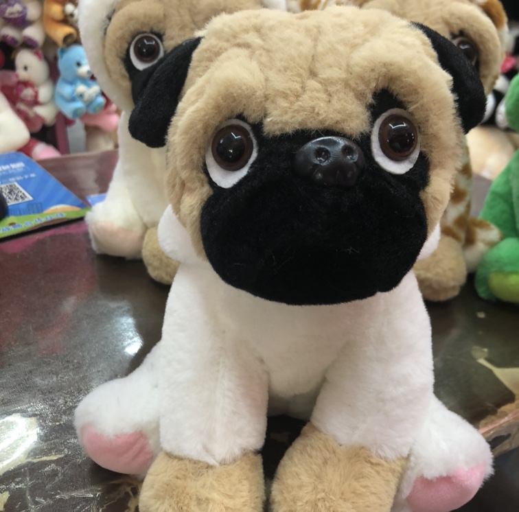 21 cm into rabbit 🐰... dog Specification image