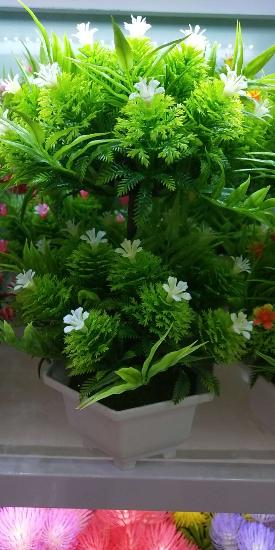 Aquatic plant accessories, bonsai, office potted plants