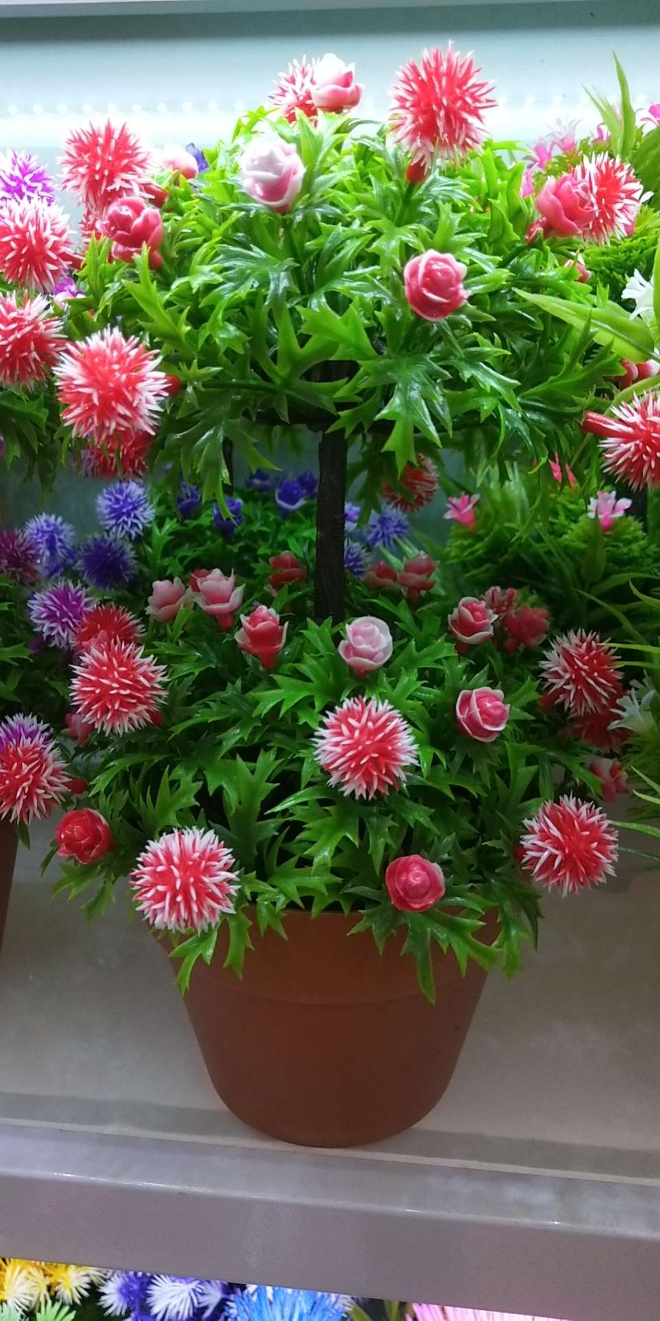 Double-layer fruit aquatic plant bonsai office potted plants