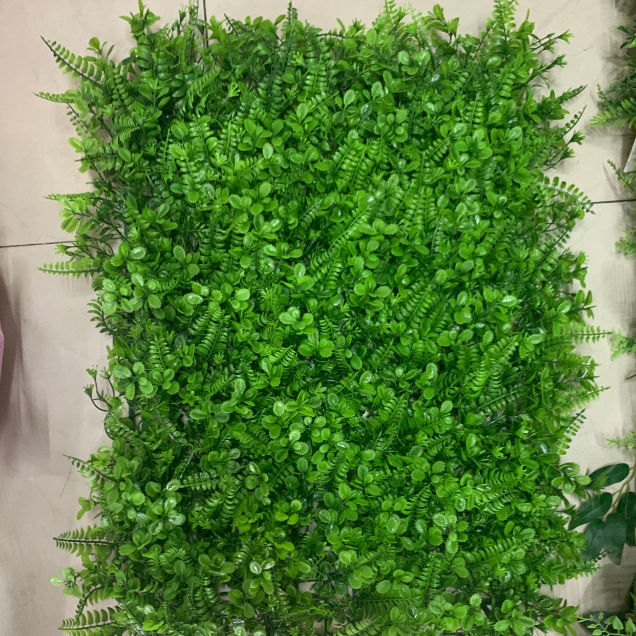 草坪迎宾墙叶凤尾草什锦仿真混合红心叶波斯（40✖️60波斯什锦）