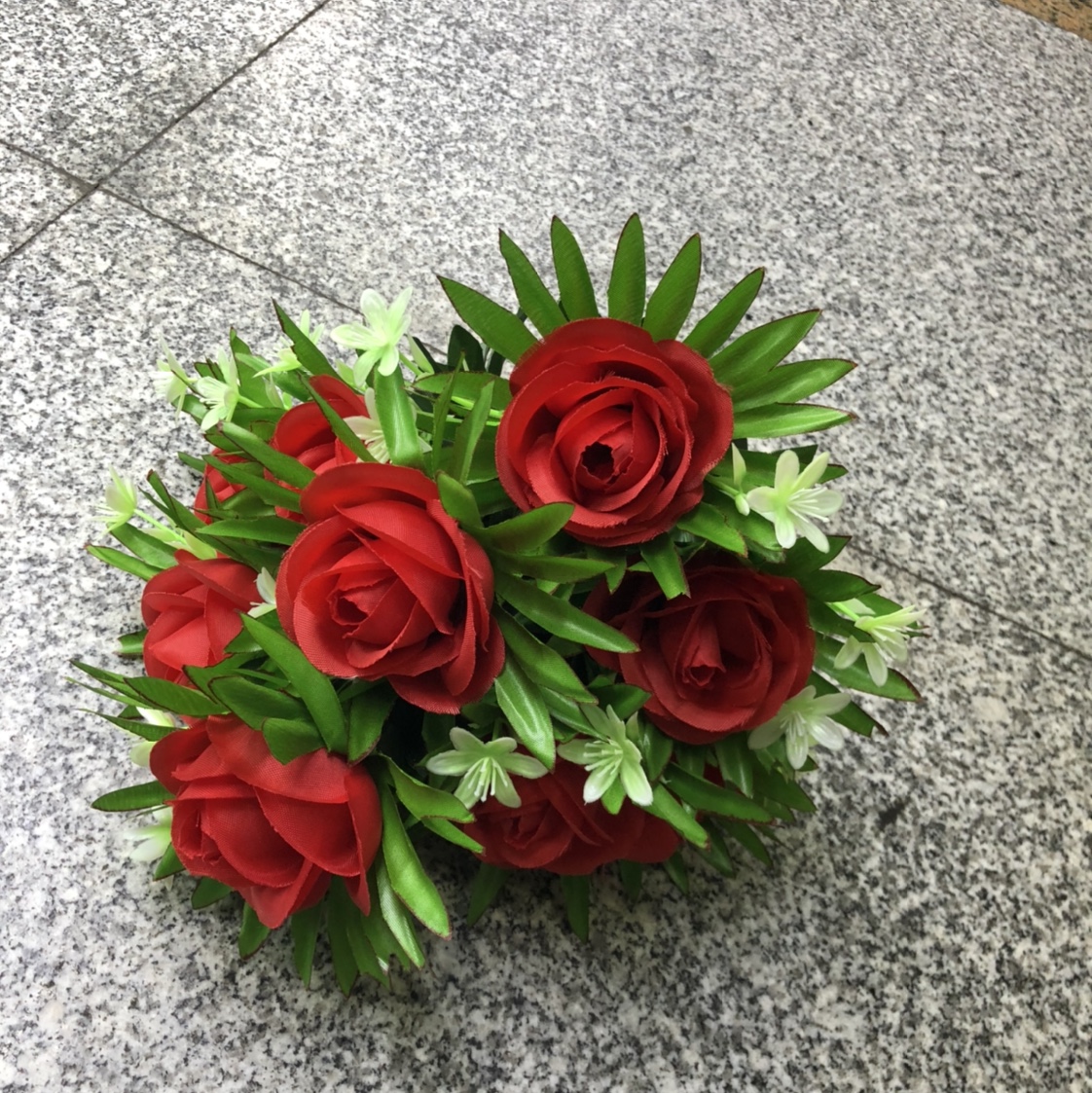 仙桃蕾