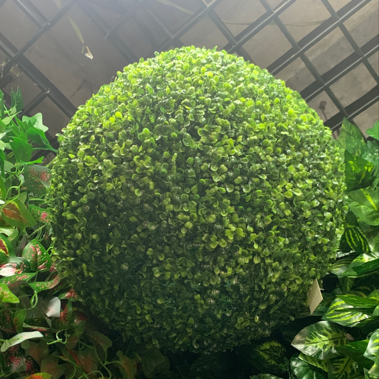仿真草球植物室内创意假绿植球婚庆商场装饰吊顶塑料尤加利米兰球 （55cm立体米兰球）