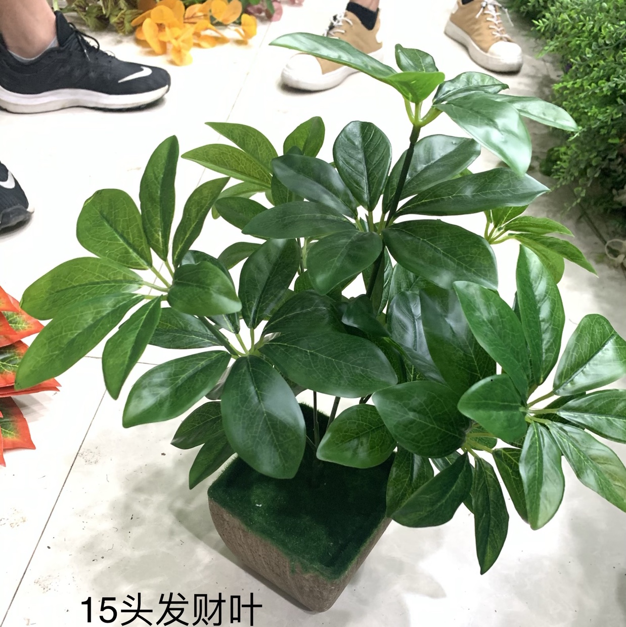 假花干花植物小盆栽发财树摆件装饰品客厅仿真花塑料盆景（15头发财叶）仿真花仿真花河北硅胶人造花春天花园要掃墓用的塑膠花