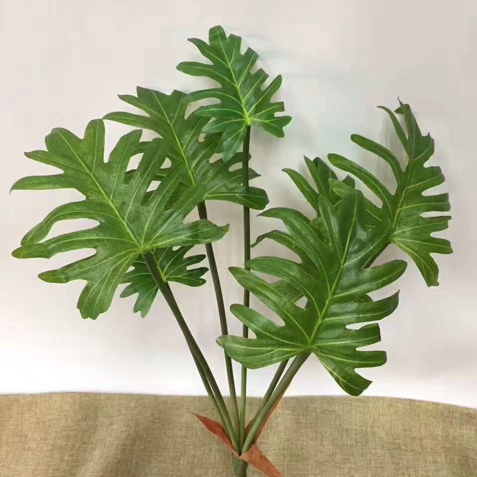 香芋叶产品图
