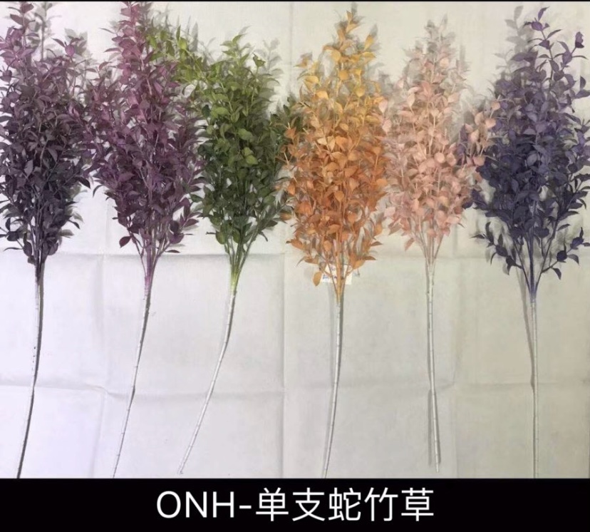 单支蛇竹草