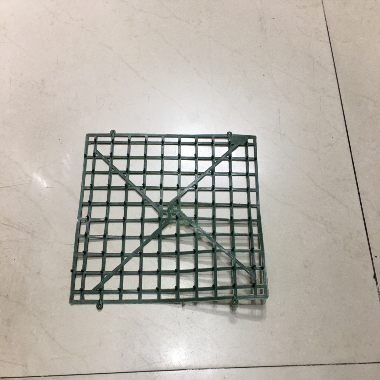 小草坪