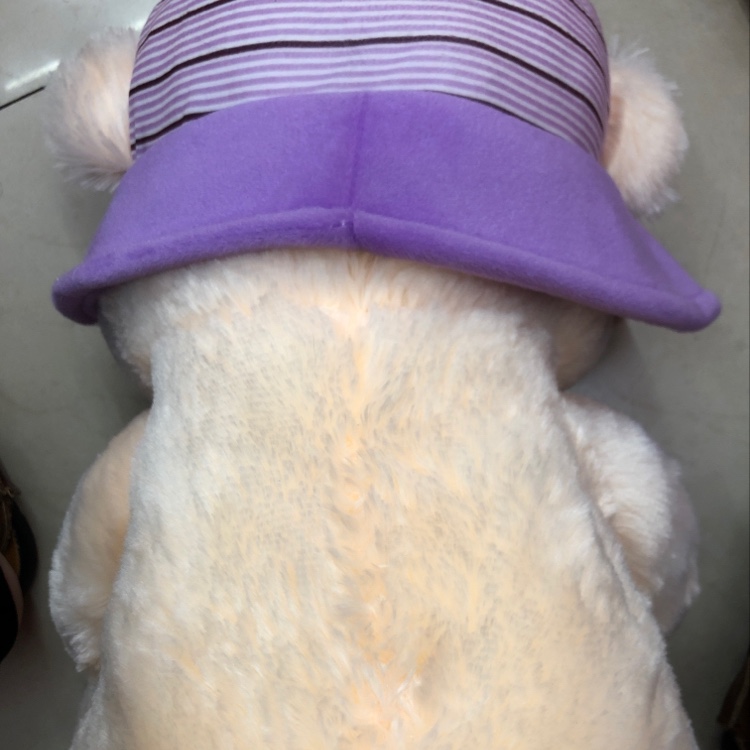 50cm tall, wearing a hat and holding an embroidered heart-shaped bear details Picture