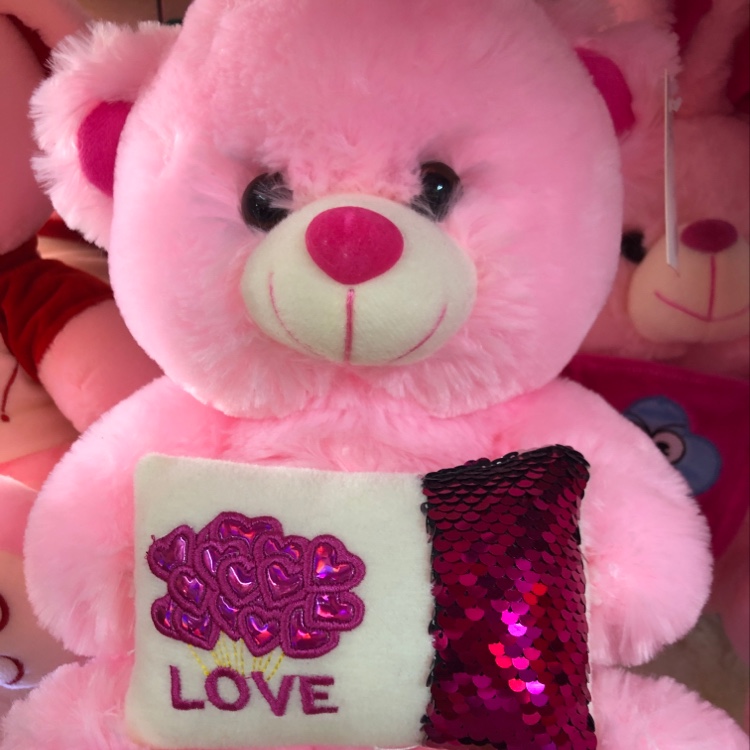 A cute cartoon bear with a 30cm throw pillow