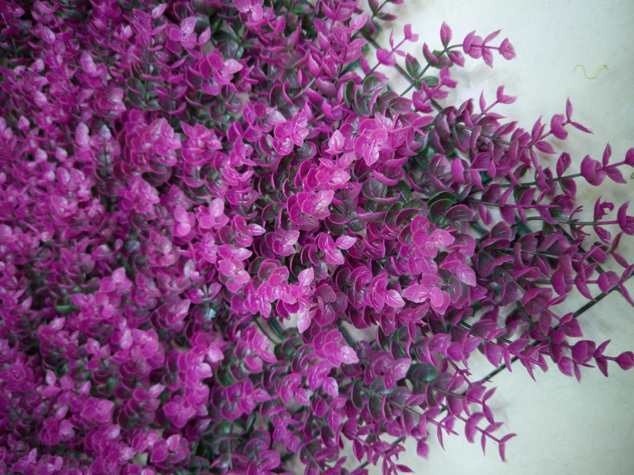 Artificial plant wall, green plant wall, plant wall, decorative wall, flower wall, background wall, interior decoration, balcony, storefront decoration, high-quality artificial grass 07 Application Scenario