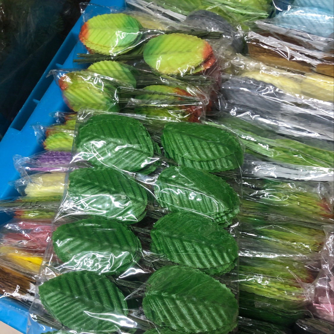 Clove leaf thumbnail