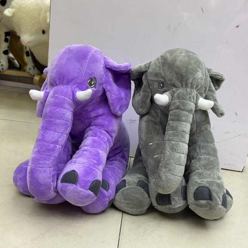 Sitting baby elephant