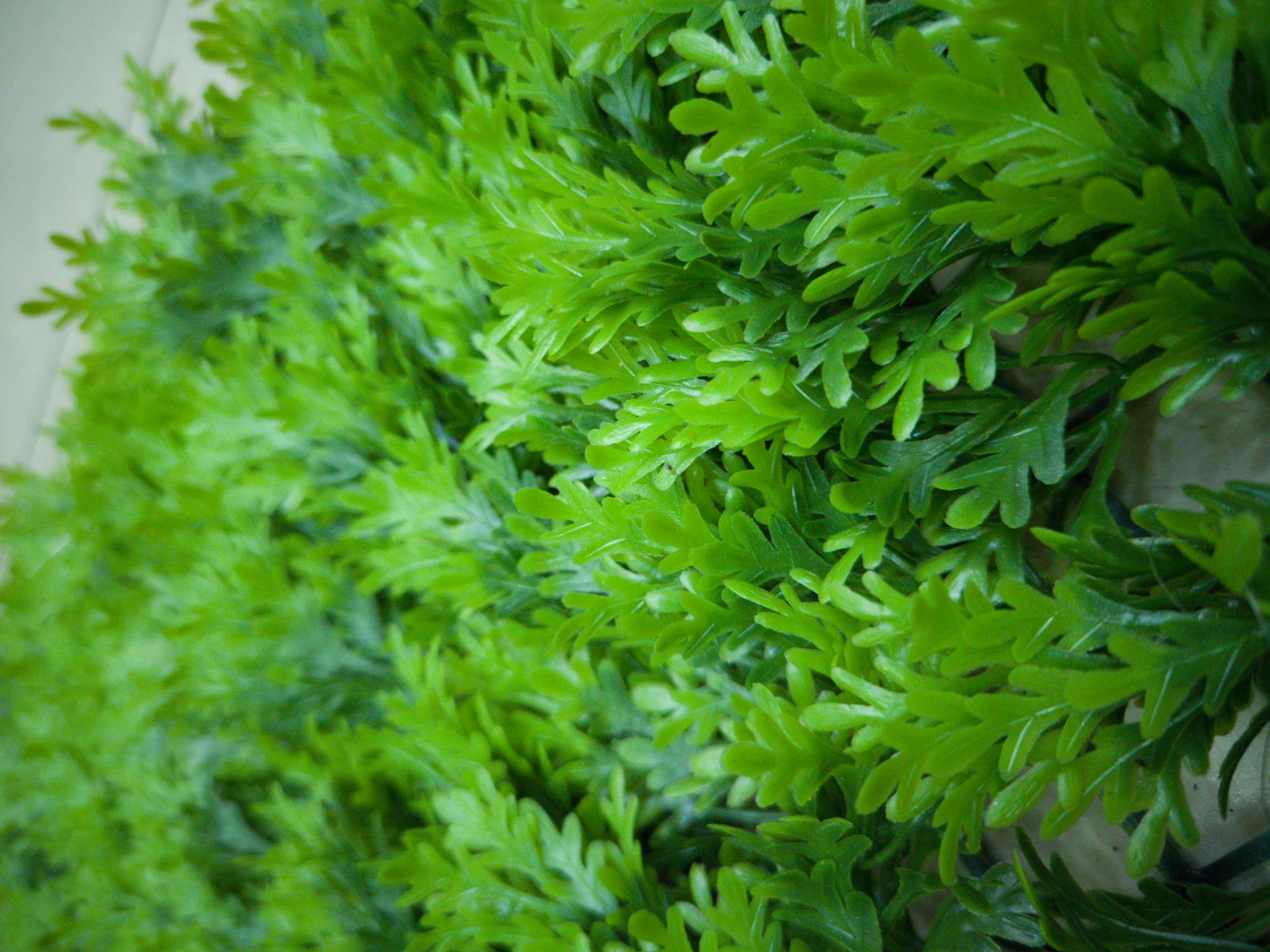 Artificial plant wall, green plant wall, plant wall, decorative wall, flower wall, background wall, interior decoration, balcony, storefront decoration, high-quality artificial grass 08 details Picture