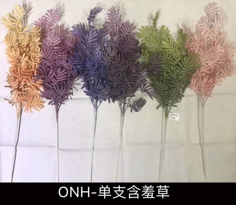 单支含羞草