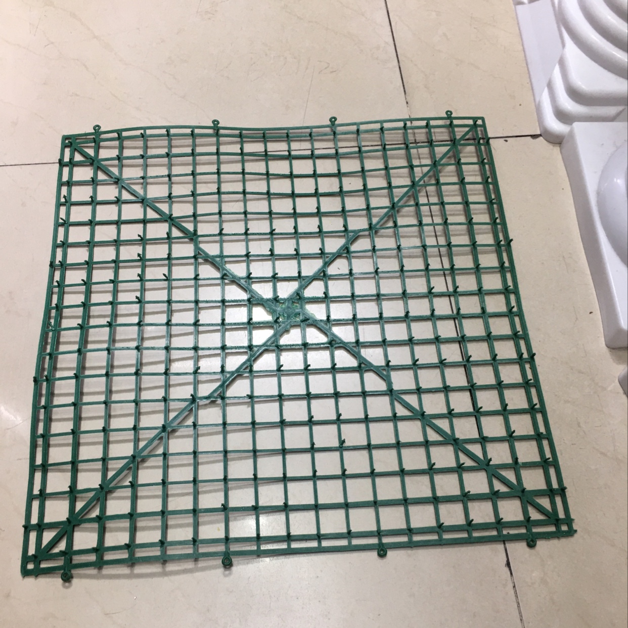 50*50草坪