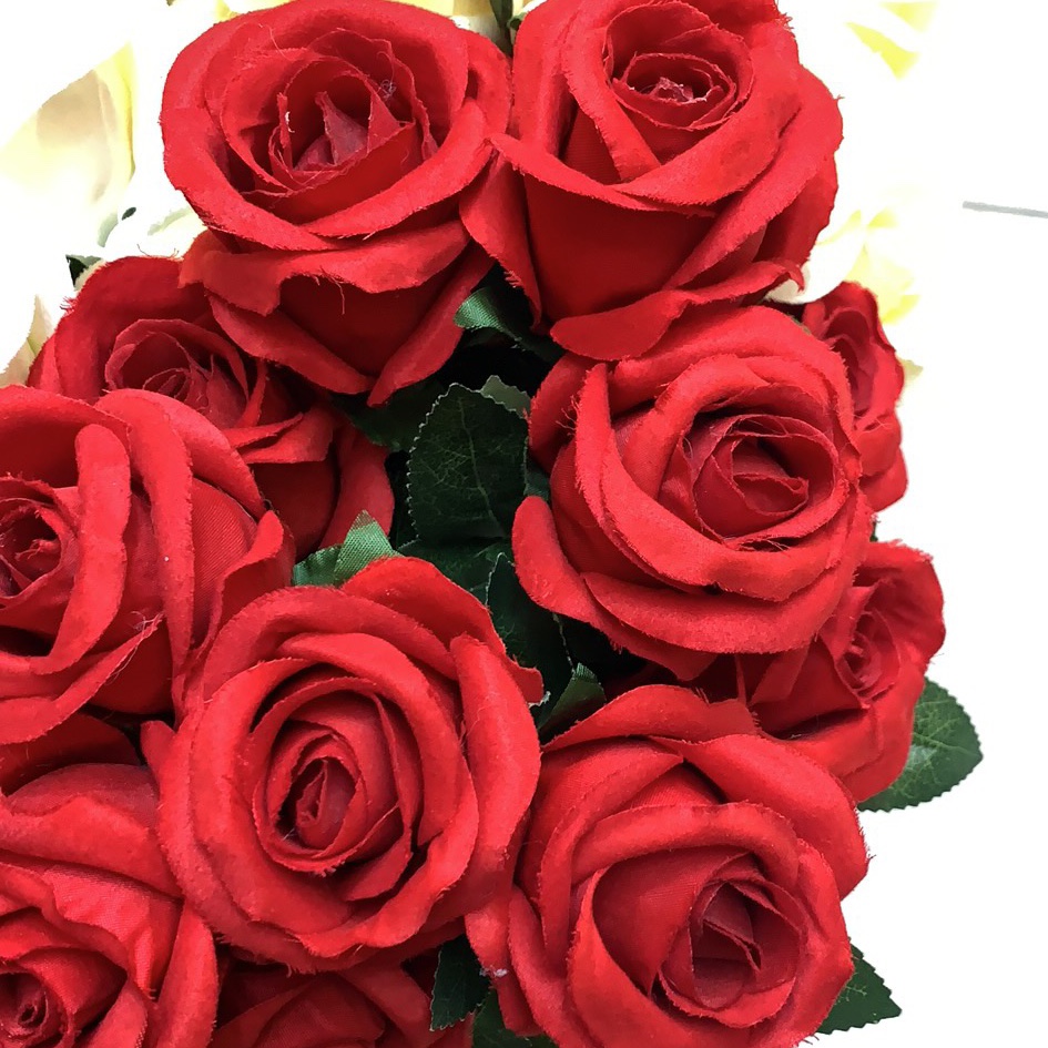 Thirteen roses