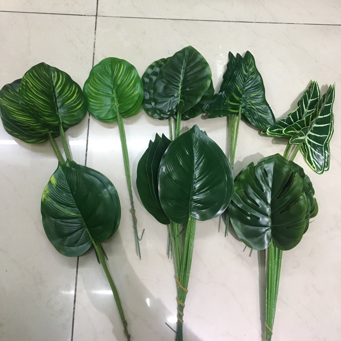 老3号龟贝