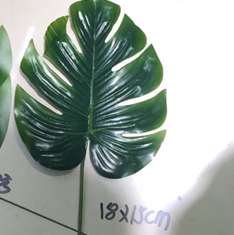新4号龟贝