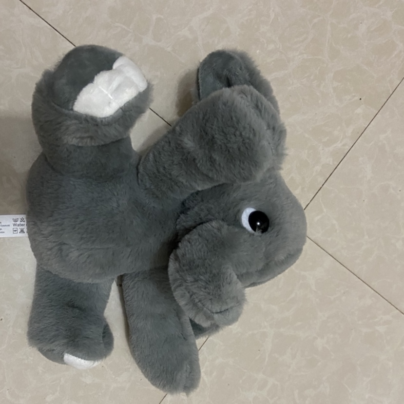 A big, long-haired grey elephant with big ears