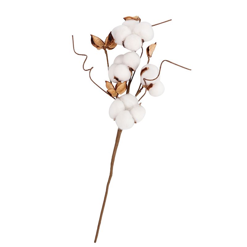 Simulation flower simulation cotton dry flower illustration accessories thumbnail