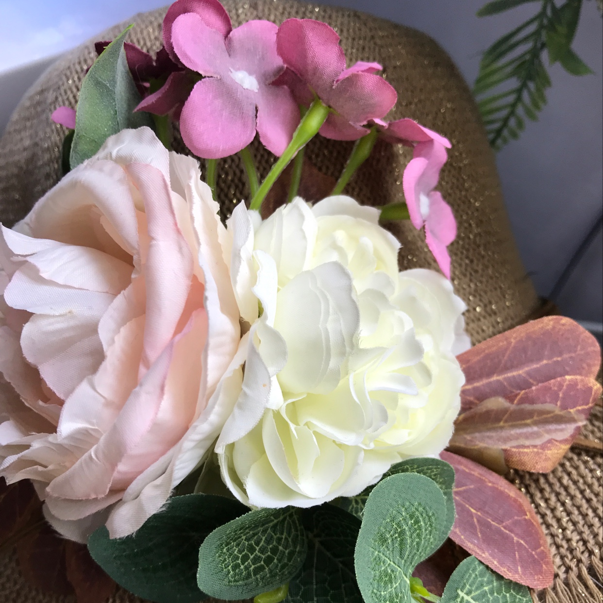 Autumn cap flower thumbnail